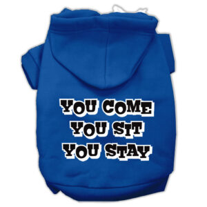 You Come, You Sit, You Stay Screen Print Pet Hoodies Blue Size XS