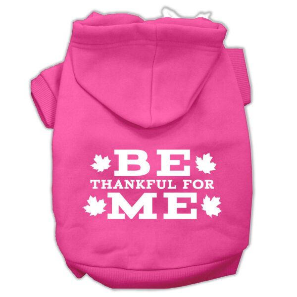 Be Thankful for Me Screen Print Pet Hoodies Bright Pink Size M