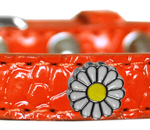 White Daisy Widget Croc Dog Collar Orange Size 16