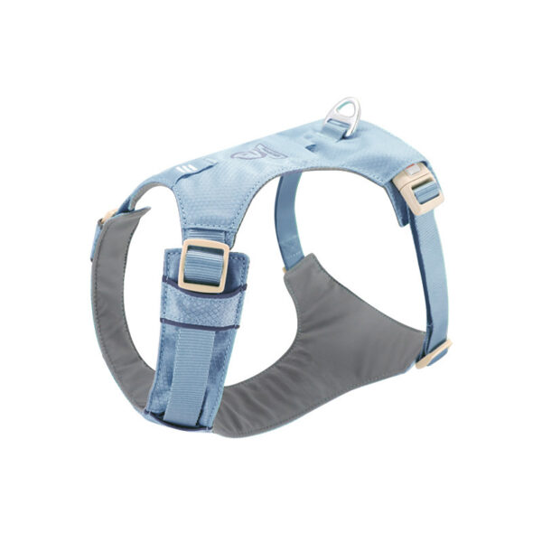 Color: Fog Mountain Blue, Size: M - Dog Chest And Back Hand Holding Rope Walking Young Medium Large Dog