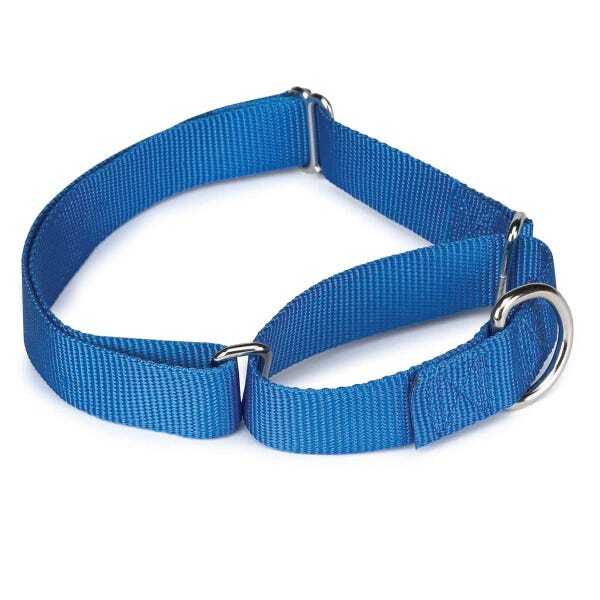 Guardian Gear Nylon Martingale Dog Collars