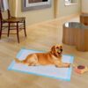 100 pieces 30 x 36 inch Pet Wee Pee Piddle Pad