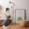 Color: Wine red, Ships From: CHINA - Simulation Bird Interactive Funny Cat Stick Toy Furry Feather Bird With Bell Sucker Cat Stick Toy Kitten Playing Pet Accessories