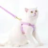 Color: PURPLE, Size: S - Puppy Harness with Multifunction Leash Set Dog Harness Vest for Small Dogs No Pull Step in Harness for Extra Small Dogs 2024 New