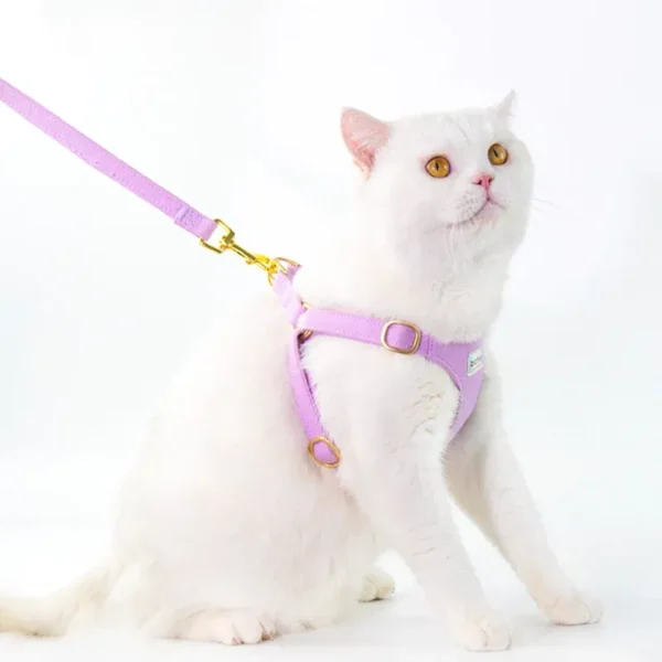 Color: PURPLE, Size: S - Puppy Harness with Multifunction Leash Set Dog Harness Vest for Small Dogs No Pull Step in Harness for Extra Small Dogs 2024 New