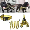 Color: Black, Size: L - Fashion Dog Collar Leash Set Gold Chain Nylon Pets Dog Collar Leash Long Rope Lettered Collar Perro Collar For Pitbull Puppy Dog
