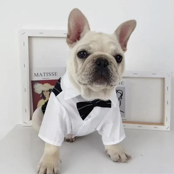 Color: Red, Size: XXS - Dog Gentleman Wedding Suit Clothes Dog Suit Bow Tie Clothes Halloween Christmas Costume For Small Dogs Teddy Bulldog