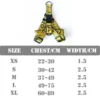 Color: Black, Size: L - Fashion Dog Collar Leash Set Gold Chain Nylon Pets Dog Collar Leash Long Rope Lettered Collar Perro Collar For Pitbull Puppy Dog
