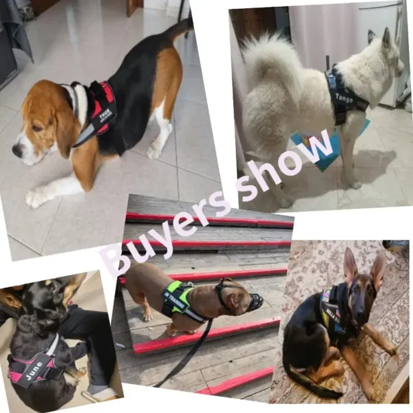 Color: Black, Size: S - Custom Dog Harness Reflective and Breathable Adjustable Tank Top Free Personalized  Name Label Pet leash Set