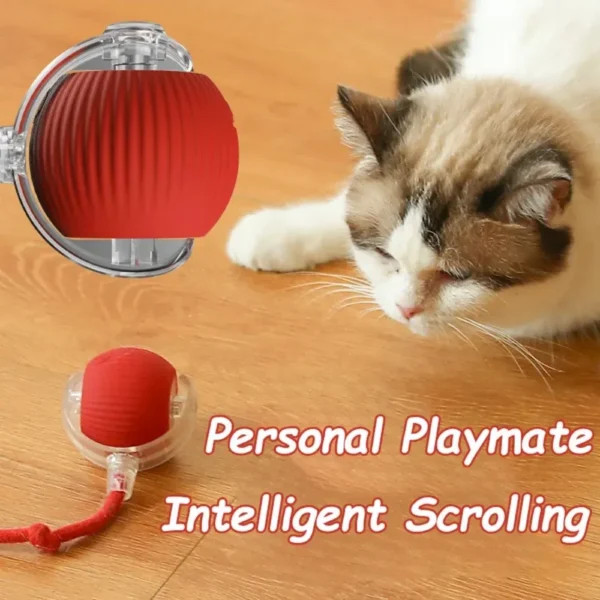 Color: Gray - New Cat Interactive Ball Toy Automatic Rolling Ball Faux Tail Rechargeable Smart Pet Electric Toy Dog Cat Training Imitate Mouse