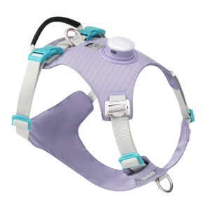 Color: Light Purple, Specification Length And Width: M - Dog Chest Harness Traction LED Outdoor Night Light